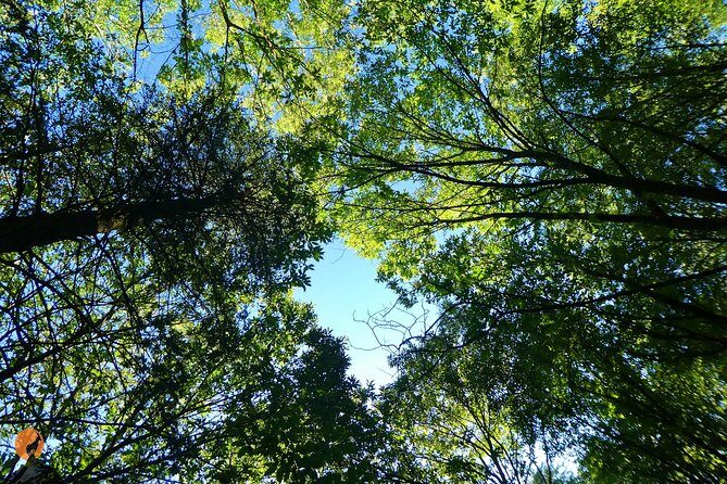 Discovering Nature in Serra da Lousã - FAQs