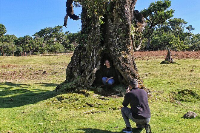 Discovering Northwest Madiera Shore Excursion w/ Harbour pickup - Starting Off in Funchal and the Pickup Service