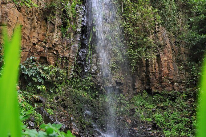 Discovering Northwest Madiera Shore Excursion w/ Harbour pickup - Potential Drawbacks and Things to Consider