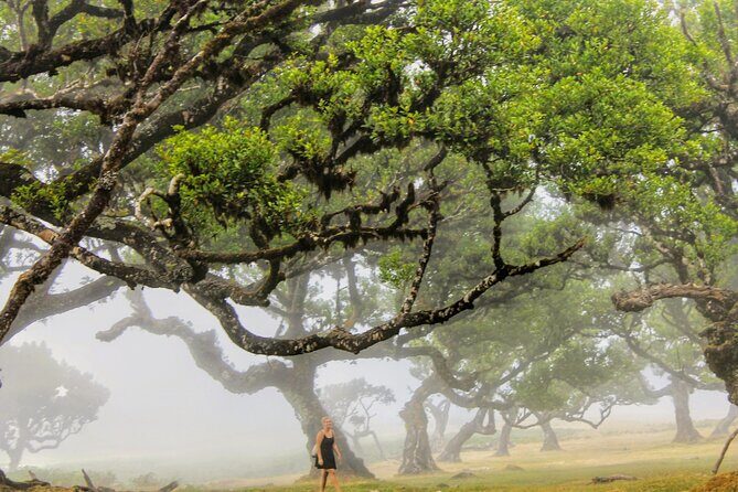 Discovering Northwest Madiera Shore Excursion w/ Harbour pickup - Final Thoughts