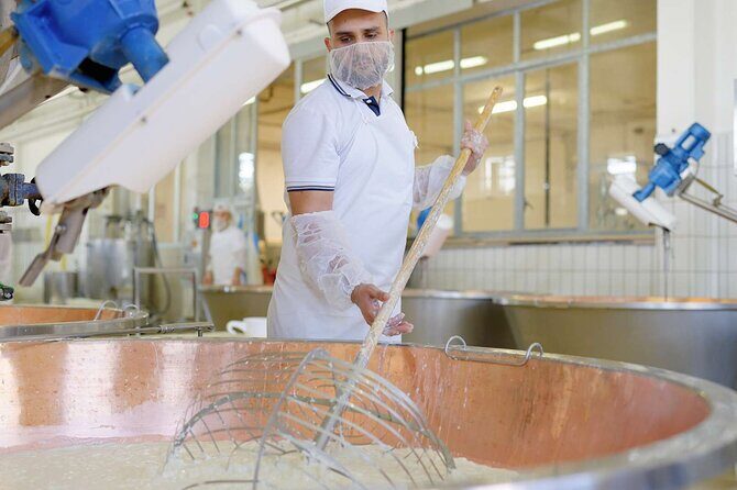 Discovering the Apulian beauties Lecce and Ostuni - Who Will Enjoy This Tour?