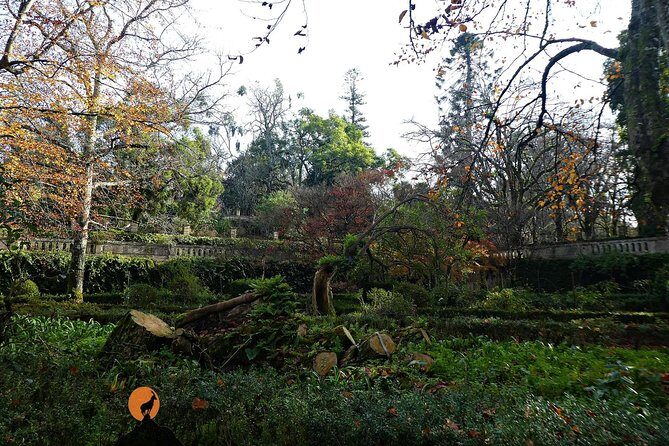 Discovering the charms and places of Coimbra - Visiting the University of Coimbra