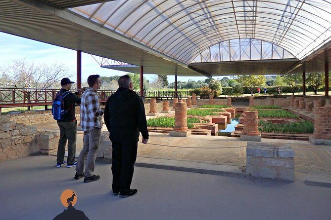 Discovering the Roman Ruins of Conímbriga and the Caves of Sicó - Who Is This Tour Best For?