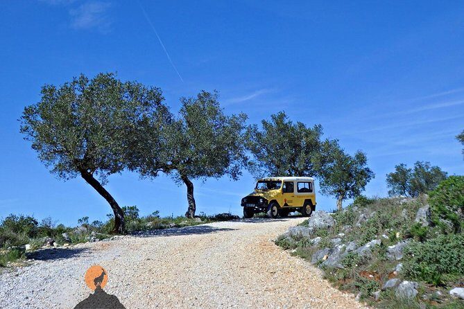 Discovering the Roman Ruins of Conímbriga and the Caves of Sicó - The Sum Up