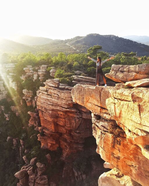 Discovering Valencia: Horchata, Paella & Vistas-Private Tour - A Deep Dive into the Experience