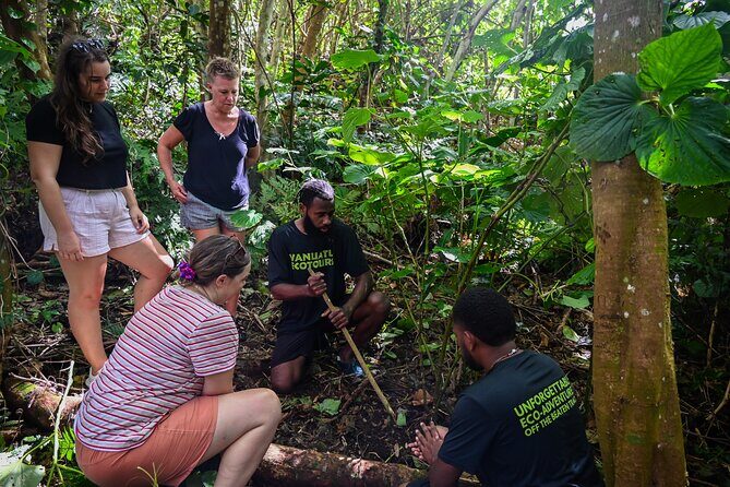 Discovery Bush Walk from Port Vila - What Are the Downsides?