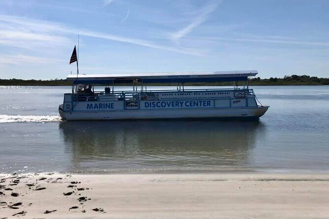 Discovery Dolphin Boat Tour - Discovery Dolphin Boat Tour Review: A Relaxed Look at Florida’s Wildlife