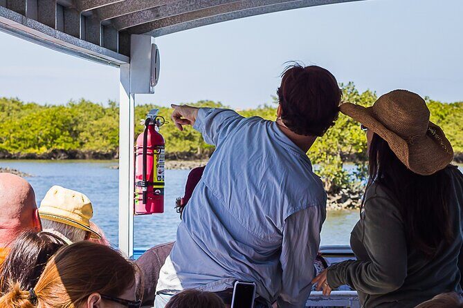 Discovery Dolphin Boat Tour - Key Points