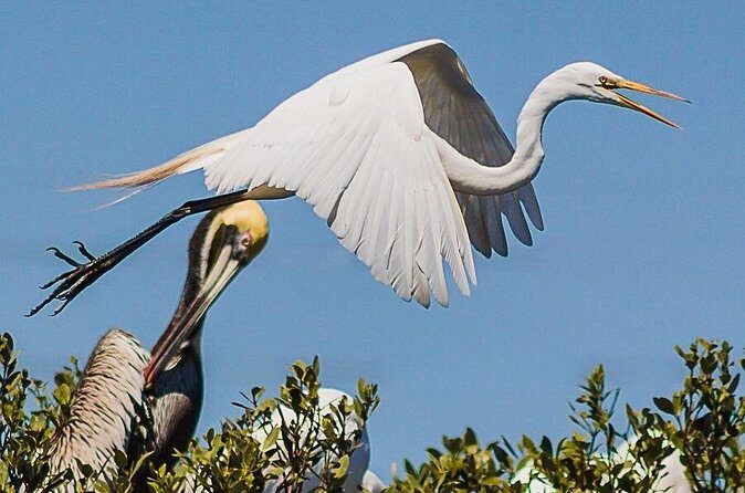 Discovery Dolphin Boat Tour - FAQs