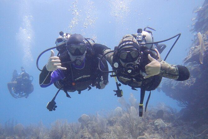 Discovery Scuba Dive. - An In-Depth Look at the Discovery Scuba Experience