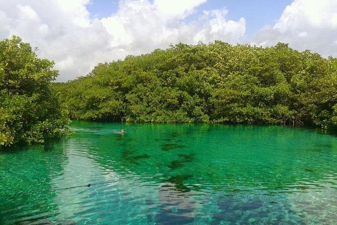 Discovery Scuba Diving - FAQs About the Discovery Scuba Diving Tour in Tulum