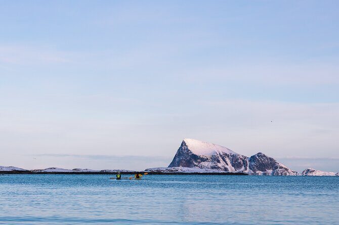Discovery tour of the island of Senja and Kvaløya from Tromsø - Key Points