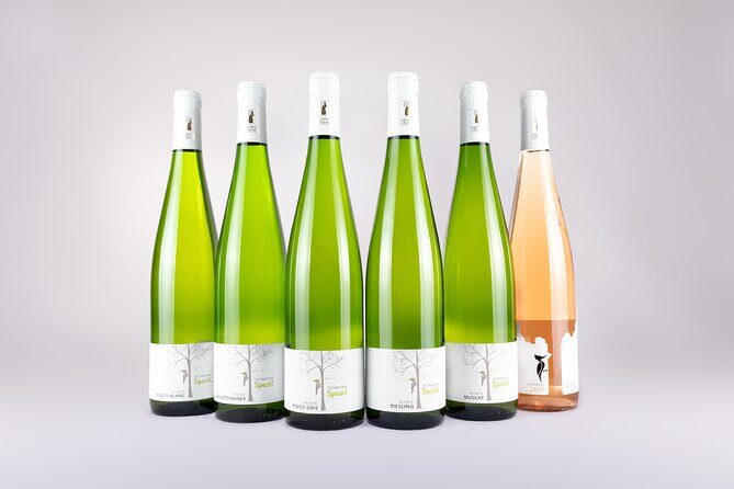 Discovery Vineyard - The Sum Up