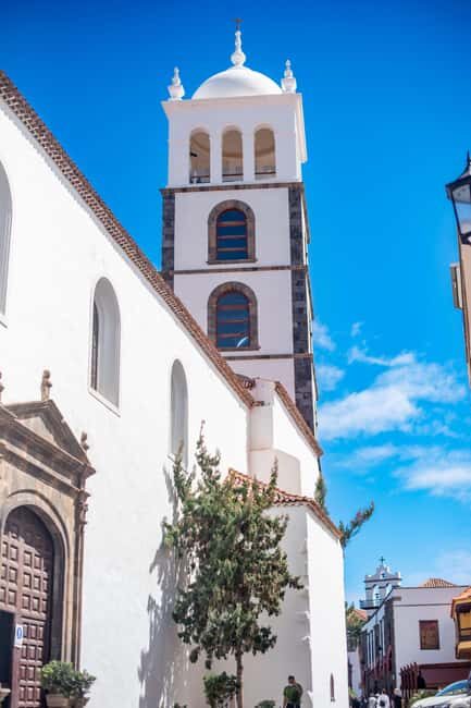 Discovery walks Teide National Park - Garachico - Masca - Who Should Consider This Tour?