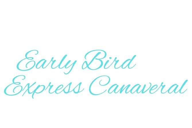 Disney World to Disney Cruise Line Private Transportation - Who Would Benefit Most?