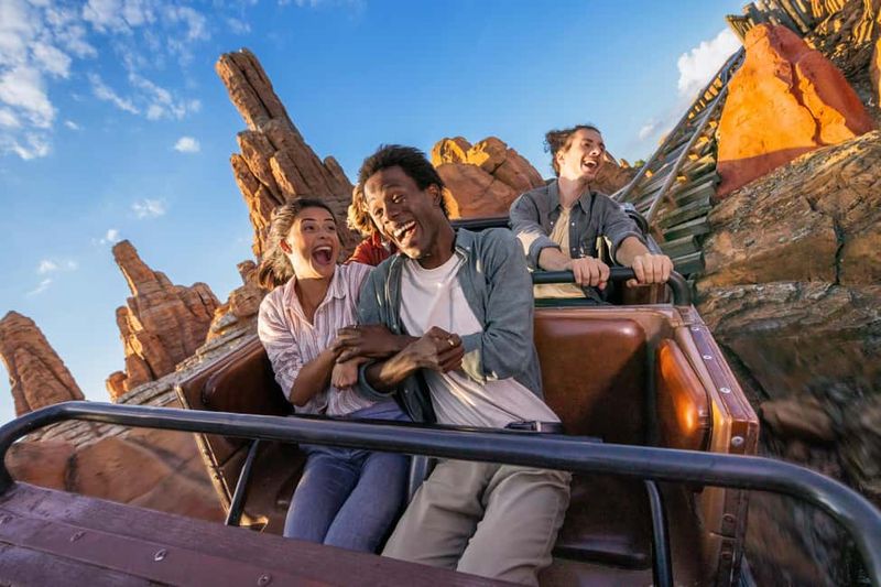 Disneyland® Paris 1-Day Flexible Date Ticket - Tickets and entry: scanning, IDs, and the barcode detail