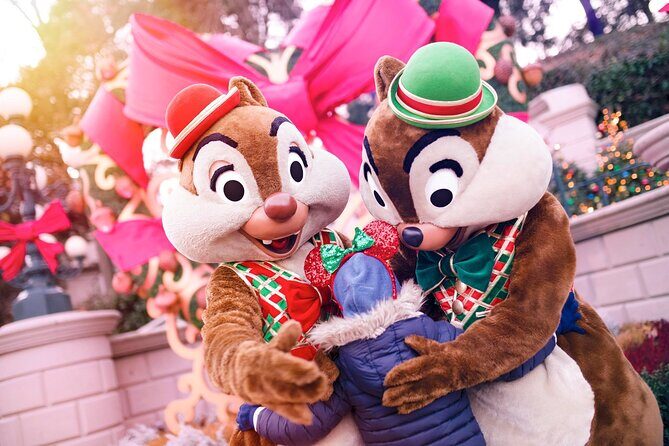 Disneyland® Paris 1 Day Ticket with Transport from Paris - Real Traveler Insights: What People Are Saying