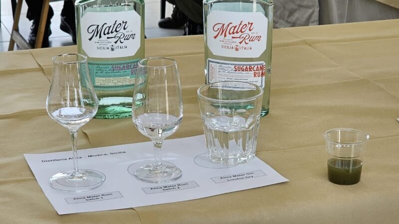 Distilleria Alma- Rum Distilery Guided Tour & Tasting - Final Thoughts