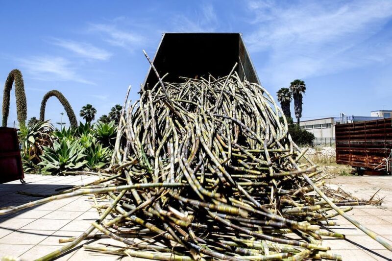 Distilleria Alma- Rum Distilery Guided Tour & Tasting - Frequently Asked Questions