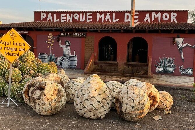 Distillery Tour and Agave Fields by Mal de Amor Mezcal - Exploring the Distillery Tour and Agave Fields by Mal de Amor Mezcal