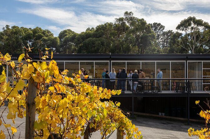 Distinguished Collection Tasting with Platter - What the Reviews Say