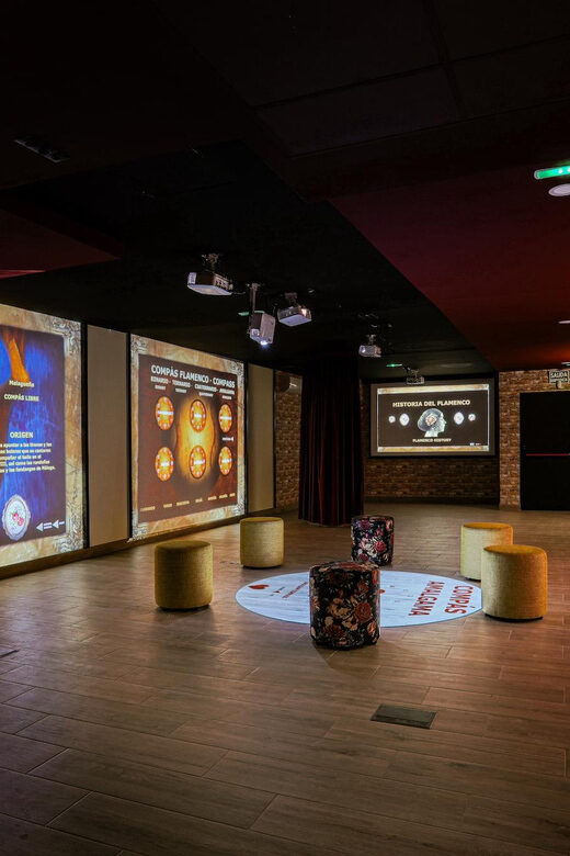 Dive In and Discover: Flamenco in an Interactive Journey - The Downsides to Consider
