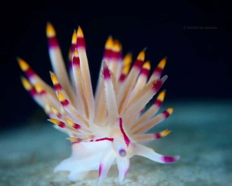 Dive Into Adventure: Beginner Scuba Experience in Rhodes - Is This Tour Worth the Cost?