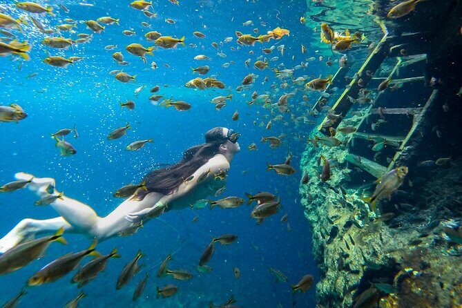 Dive into Tulum: Tour 3 Cenotes, from Riviera Maya - The Sum Up