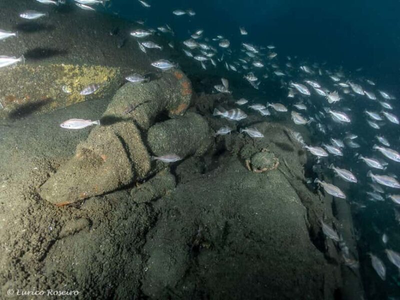 Dive the U-boat 1277 - the Most Iconic Dive in Portugal - Why This Tour Might Not Be for Everyone