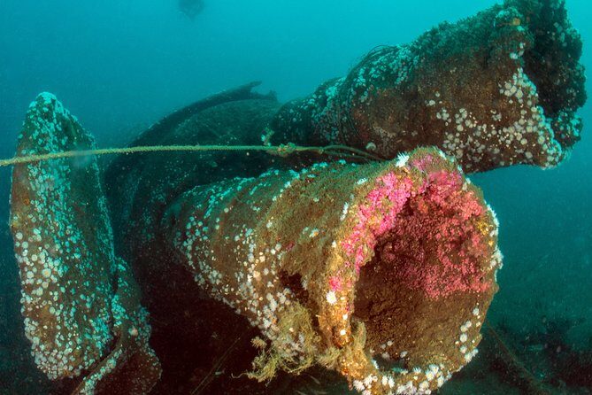 Dive the U-boat 1277, the most iconic dive in Portugal? - Final Thoughts