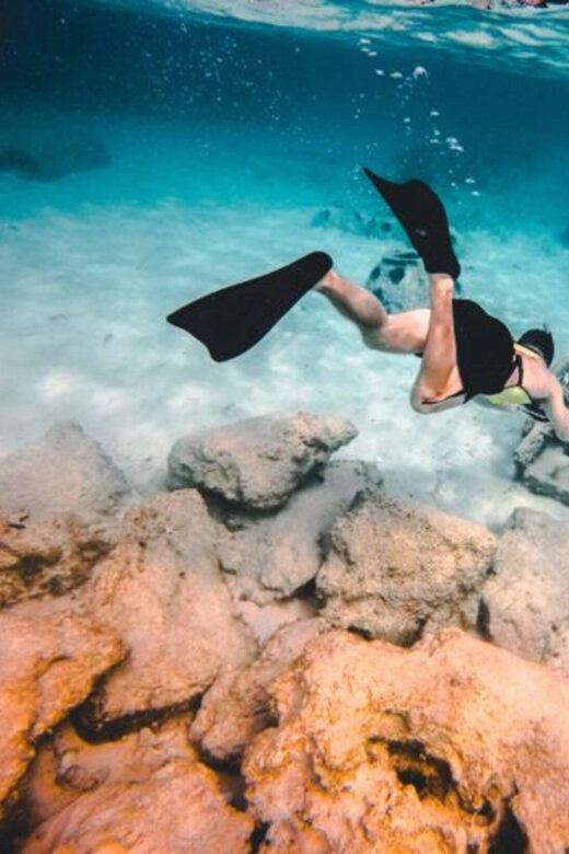 DiveSnap Underwater Sports Thrills:Lantern Point & P31 Wreck - Key Points