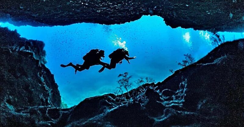 DiveSnap Underwater Sports Thrills:Lantern Point & P31 Wreck - The Itinerary: What You Can Expect