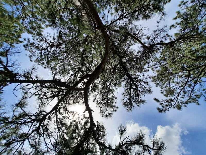 Divibare: Follow the Sun Hiking Tour - What to Expect During the Day