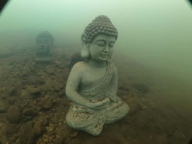 Diving - The Value of the Experience