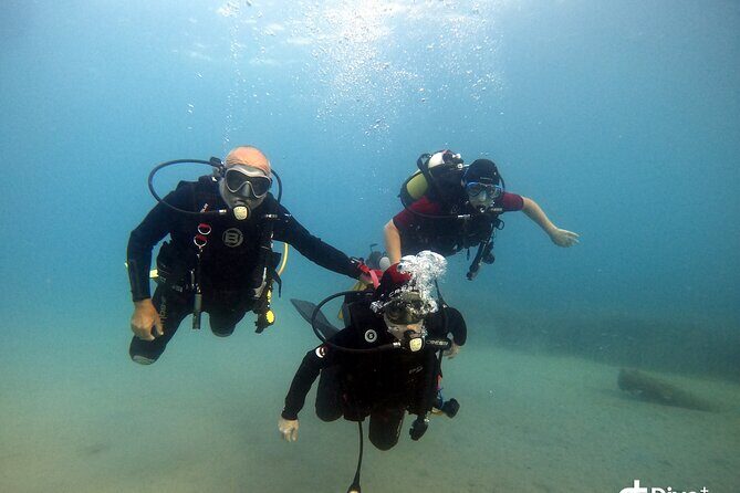 Diving baptism in the Marine Reserve of Cabo Tiñoso - Who Is This Tour Best For?