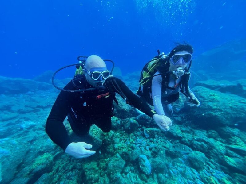 Diving course for beginners in turtle area Tenerife - Why We Think This Experience Works Well