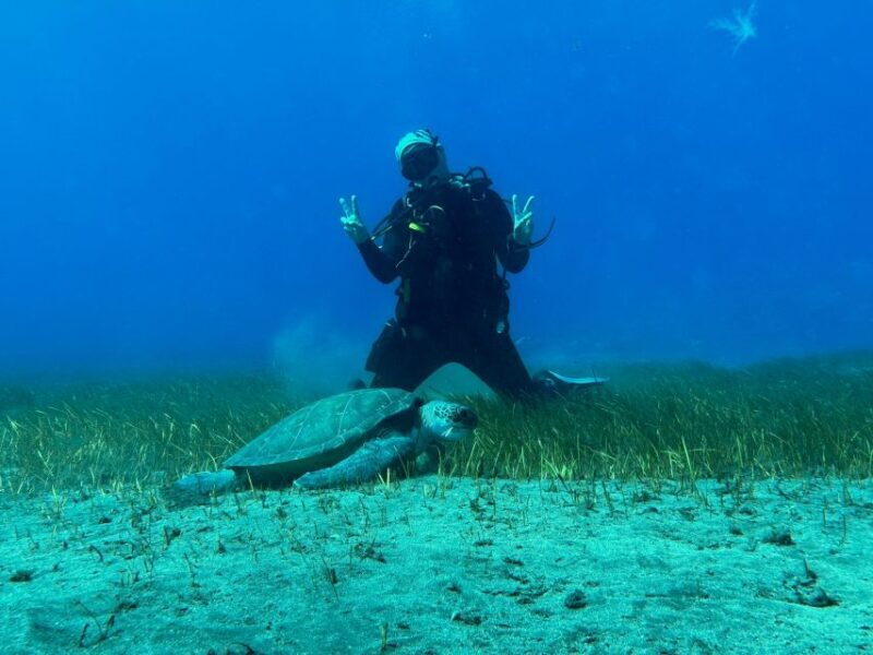 Diving course for beginners in turtle area Tenerife - The Practical Details