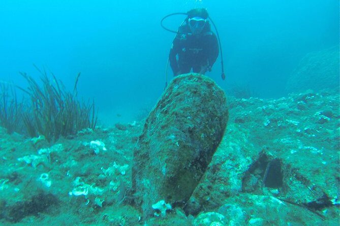 Diving for patented divers - The Experience: What You Can Expect