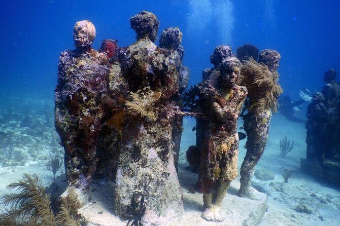 Diving in Cancun Underwater Museum of Art - The Value of This Tour