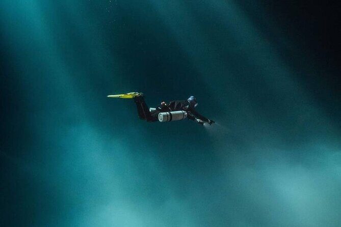 Diving in Cenotes: discovering the Mayan Underworld - Why This Tour Stands Out