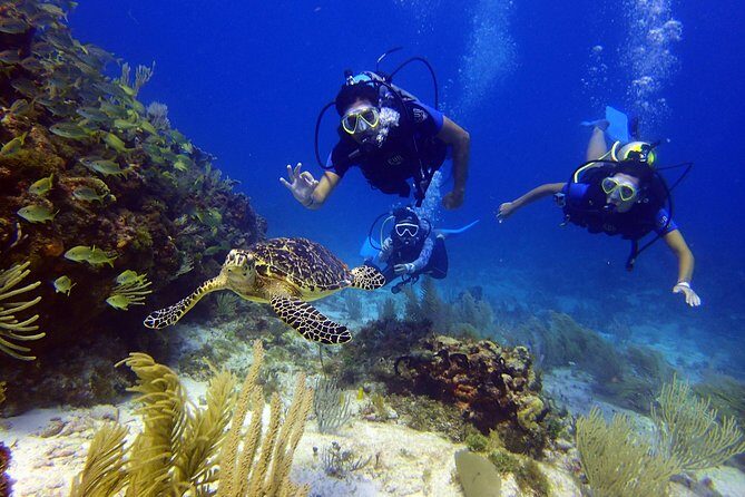 Diving in the Mexican Caribbean for Beginners | 2 Tanks 2 Dives | All Inclusive - FAQ