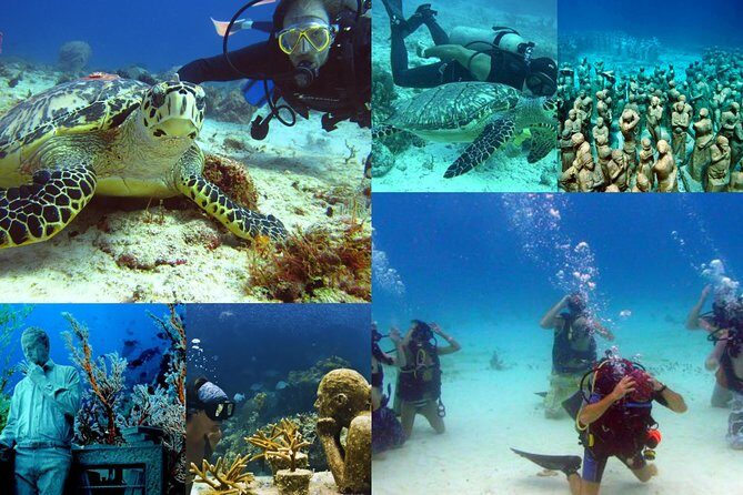 Diving + Muse - What the Reviews Say