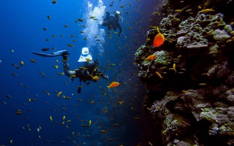 Diving Tour from Alanya & Side with Lunch - 2 Dives Included - Who Will Love This Tour?