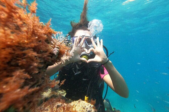 Diving with optional Pick Up - Drop Off from Antalya - Who Will Love This?