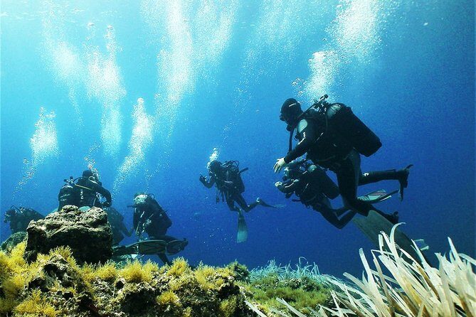 Diving with PADI 5 Star CDC Diving Resort Isola Bella Marine Park Taormina - The Experience in Action: What Travelers Say
