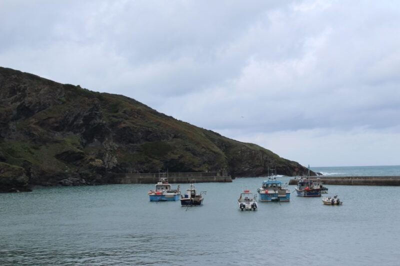 Doc Martin Tour - The Real Value of the Doc Martin Tour