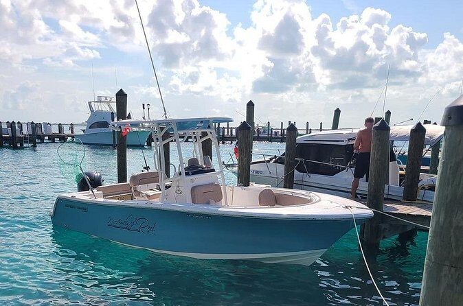 Dock Hop Cruise in Sarasota - Final Thoughts