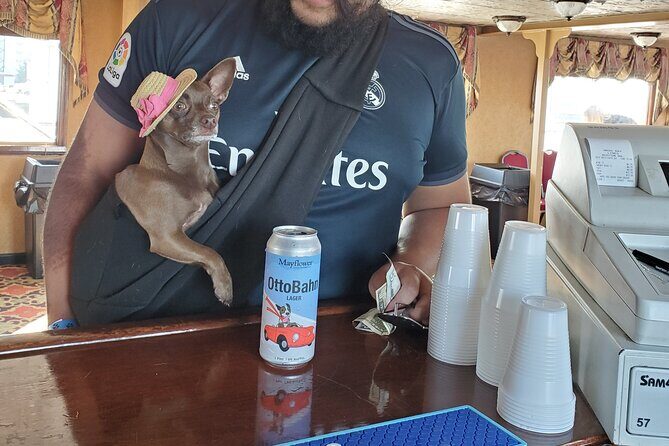 Dog Day of Summer Harbor Cruise in Boston - Key Points