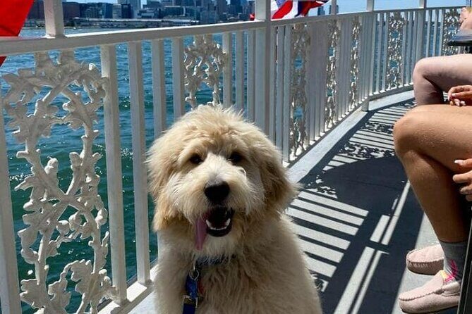 Dog Day of Summer Harbor Cruise in Boston - Frequently Asked Questions