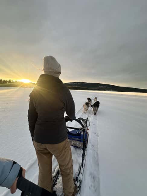 Dog sled tour with overnight stay in central Sweden/Härjedalen - The Setting and Accommodation